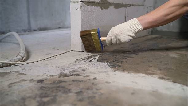 Top rated local Wet Basement Repair specialists in Hillsboro, KS